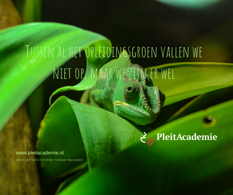 Nog geen 10 NOvA opleidingspunten voor 2020?